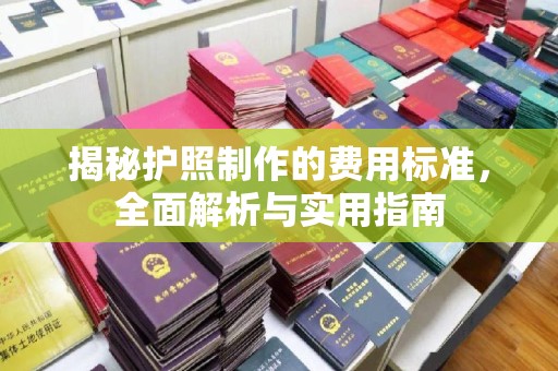 博山揭秘护照制作的费用标准，全面解析与实用指南